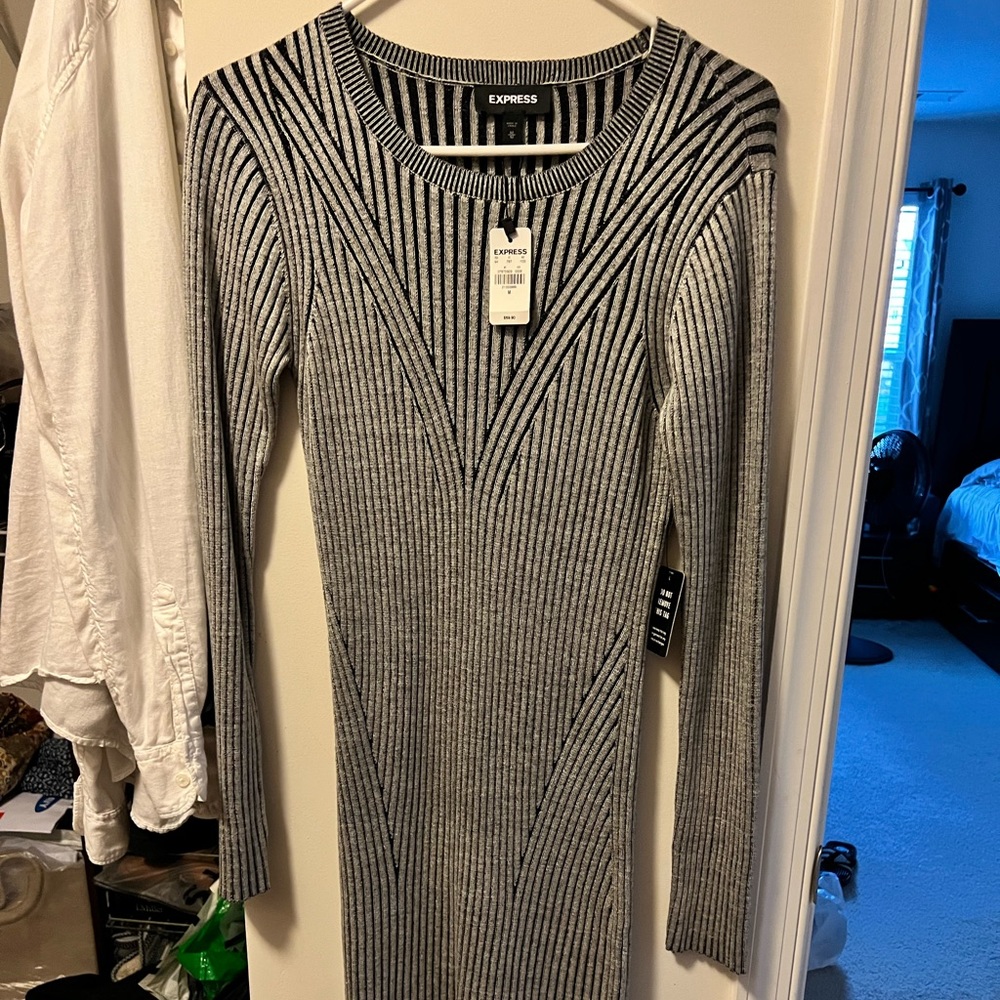 Brand New Sweater dress
